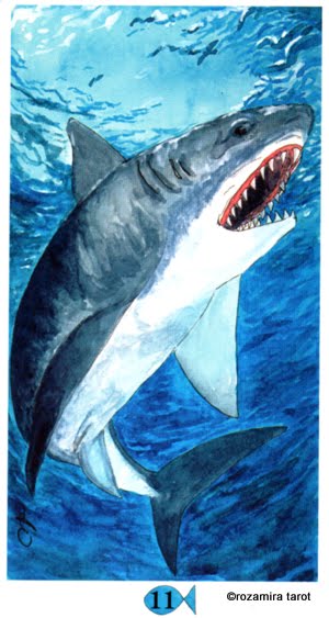 Hawaiian Aloha Tarot